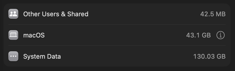 macOS Storage showing 130.03 GB of System Data on the creator’s Mac